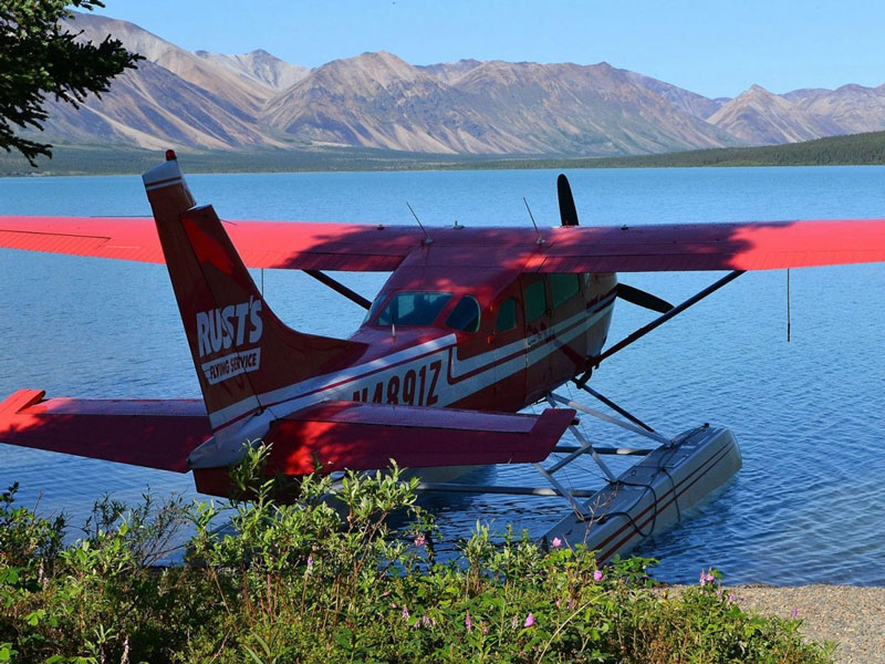 Anchorage Day Trips Chinitna Bay Bear Viewing Flight Safari 3