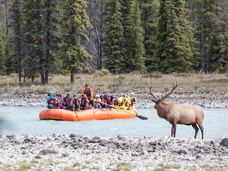 Canadian Rockies Lakes and Glaciers Selfdrive