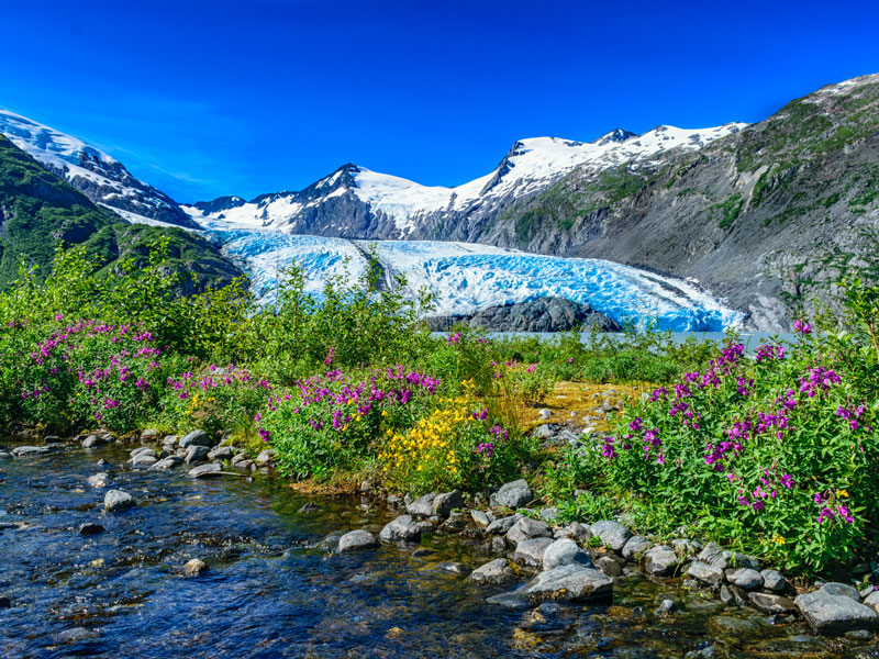 Ultimate Alaska Train Vacation