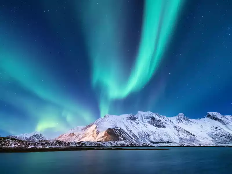 Anchorage Aurora Winter Wonderland Adventure
