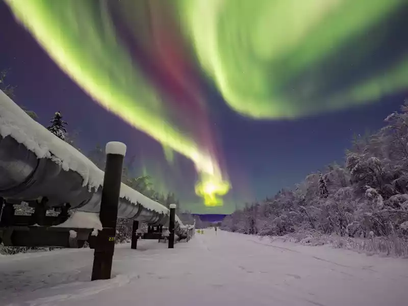 Fairbanks Aurora Winter Wonderland Adventure