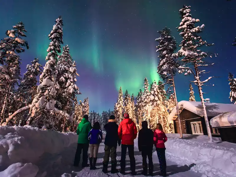 Alaska Winter Train & Northern Lights Adventure
