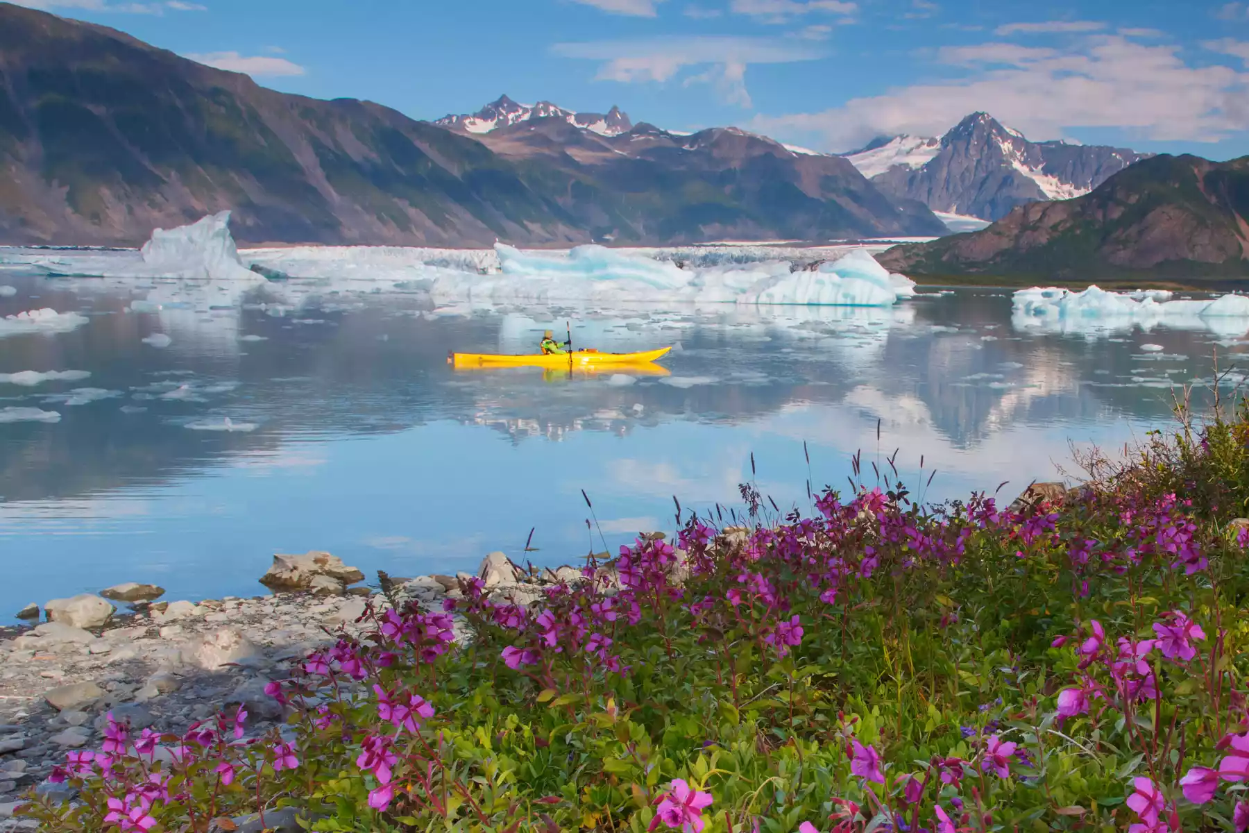 Alaska Adventure Tours Alaska Adventure Tours