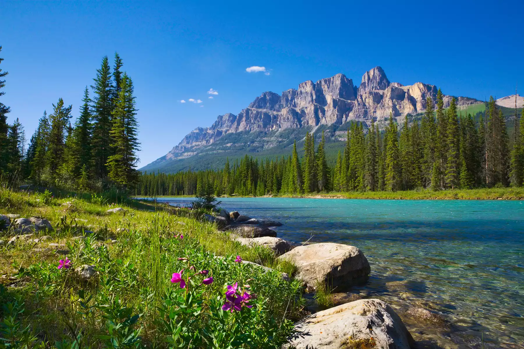 Canadian Rockies Road Trips Canadian Rockies Road Trips | Peyto Lake
