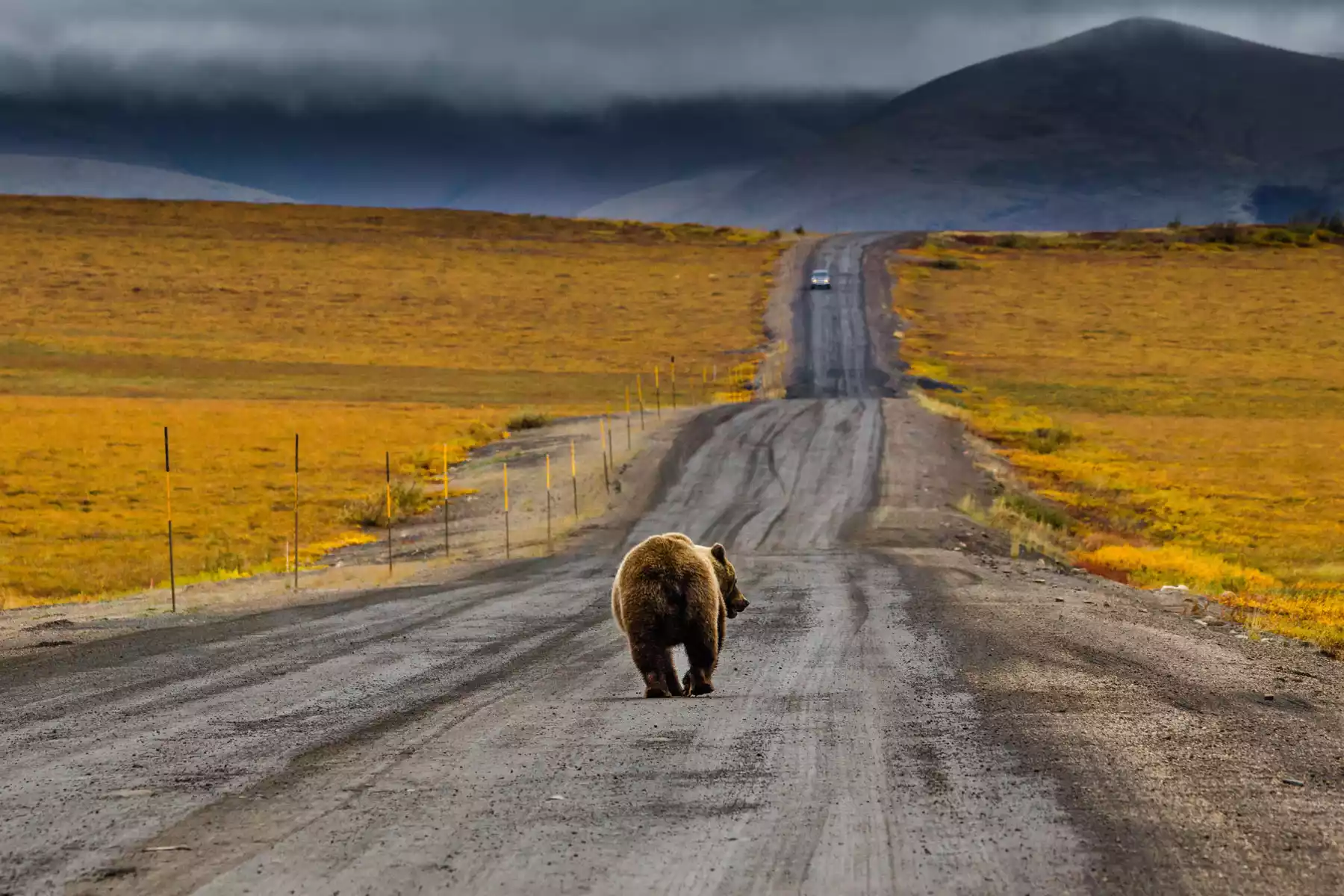Yukon and Alaska Road Trips Yukon & Alaska Road Trips