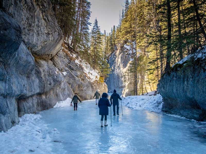 1. Day Tours - Radventure - Icewalk Johnston Canyon