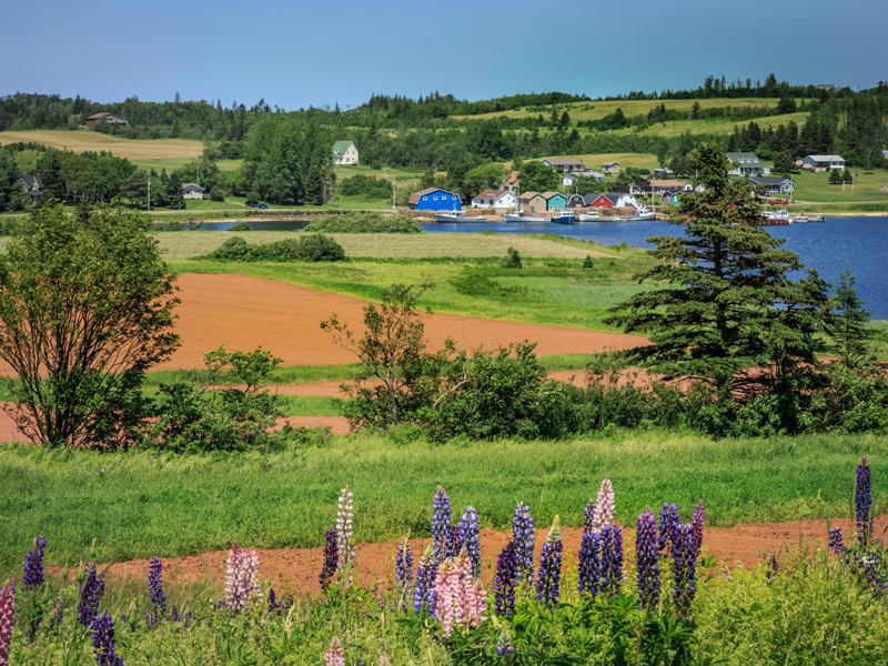 1. See Sights PEI - Best of PEI Tour