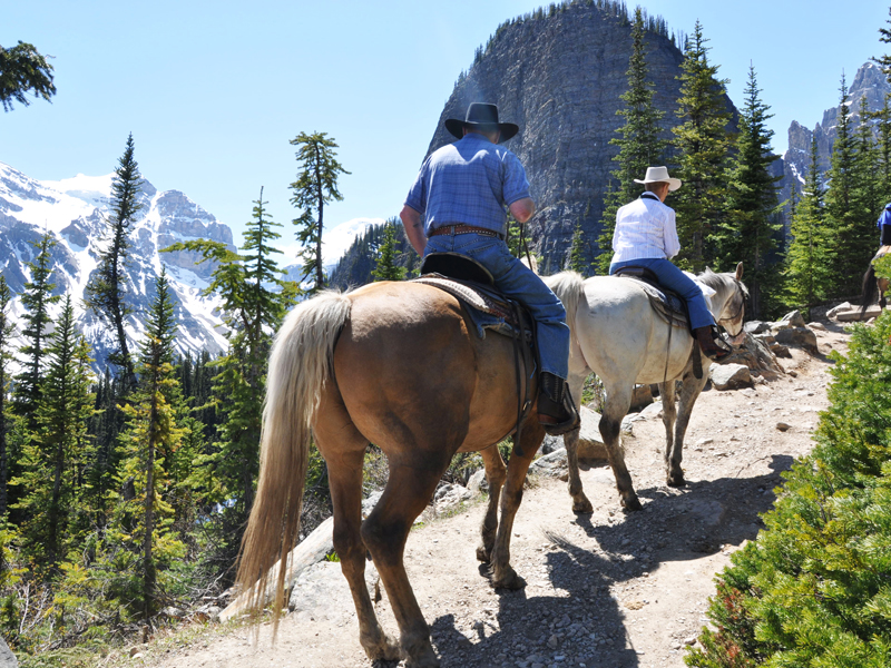 1. Tour - Banff Trail Rides - Halfway Lodge Trip