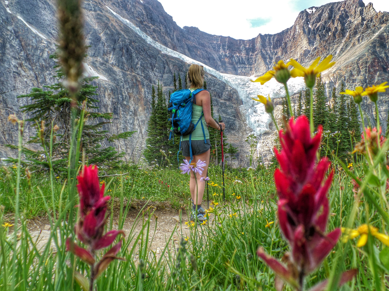 1. Tour - Timber Wolf Tours The Best of Banff and Jasper Hiking Tour