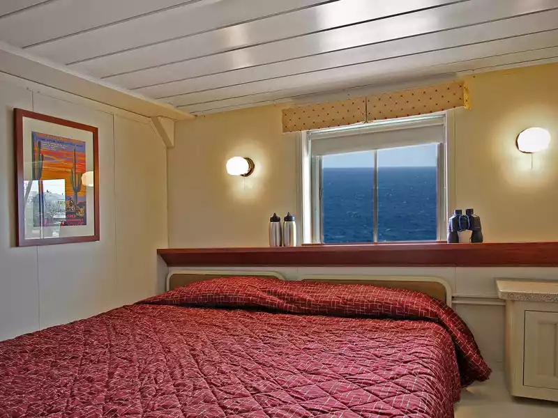 Wilderness Adventurer | Trailblazer Cabin