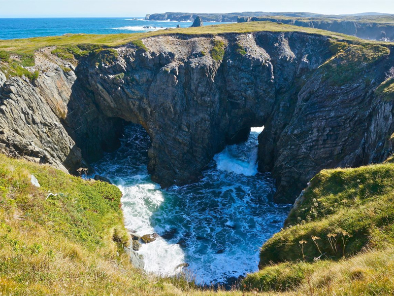 2. Trinity & Bonavista Exploring