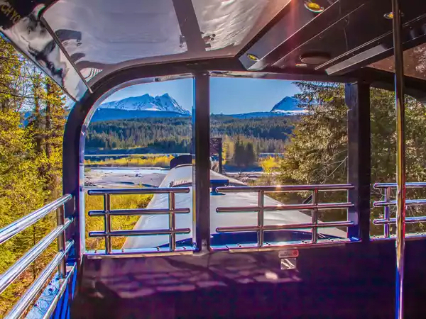 Coastal Classic Train & Kenai Fjords Tours