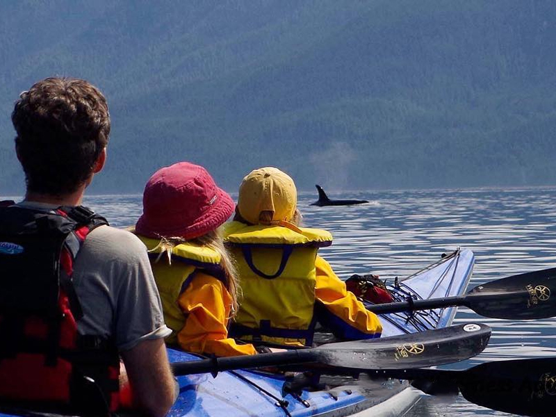 3. Tour - Kingfisher Wilderness Adventures - Kayak with Whales