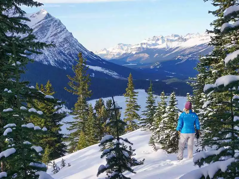 3. TR Jasper to Banff Winter