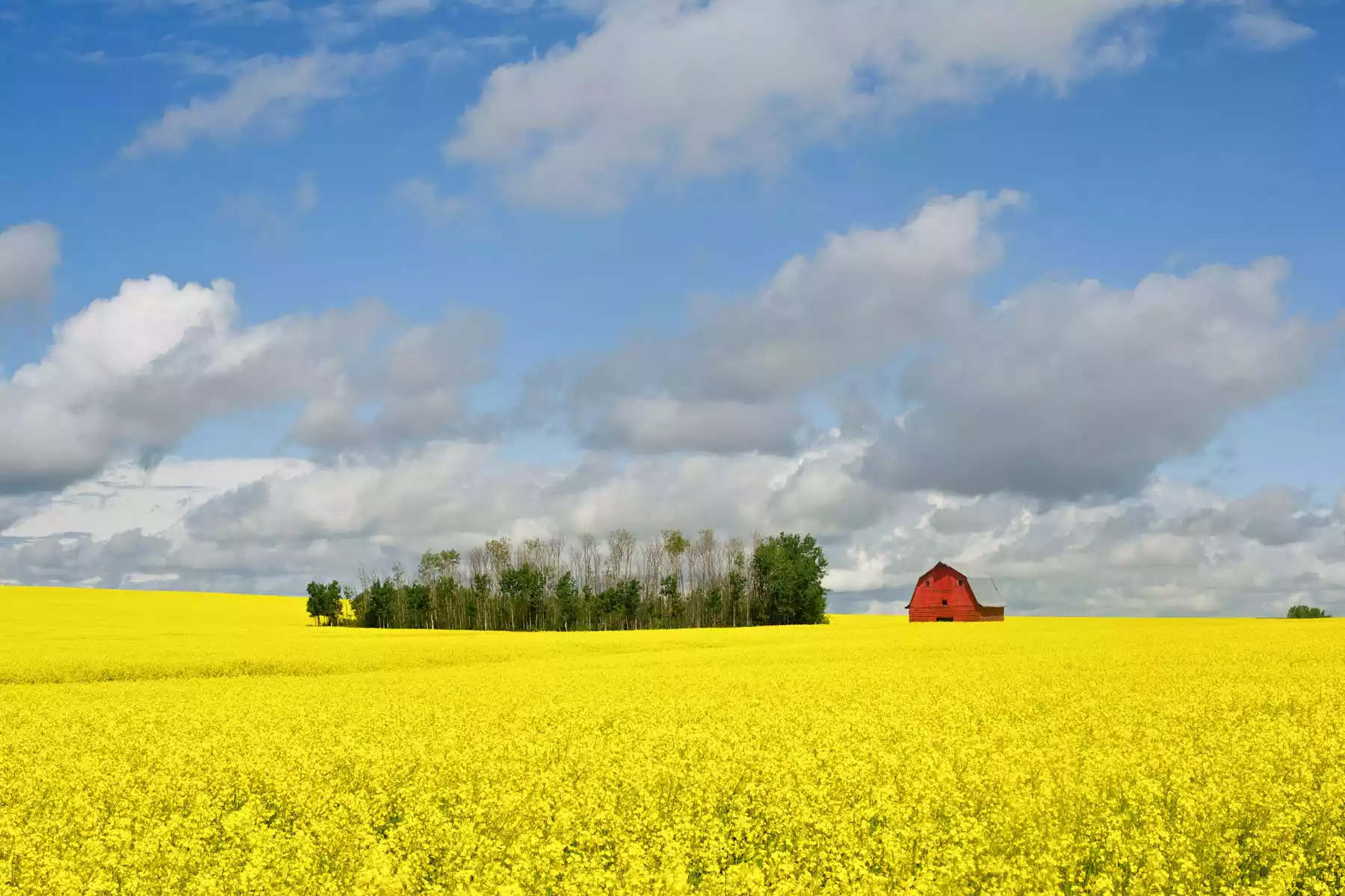 Train Trips Across Canada