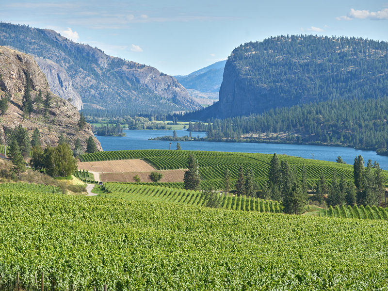 4. Destination Kelowna and Okanagan