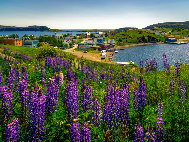 5. Trinity & Bonavista Exploring