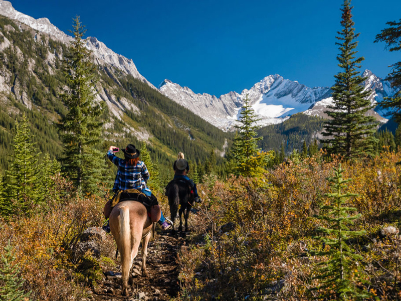 6. Tours - Banff Trail Rides - Erling Strom Trail Lodge 3 night trip