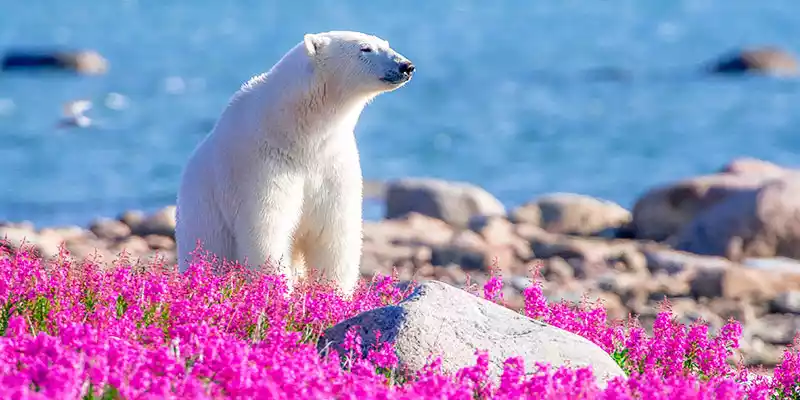 7 Very Canadian Trips for the Ultimate Summer Adventure 7 Very Canadian Trips for the Ultimate Summer Adventure