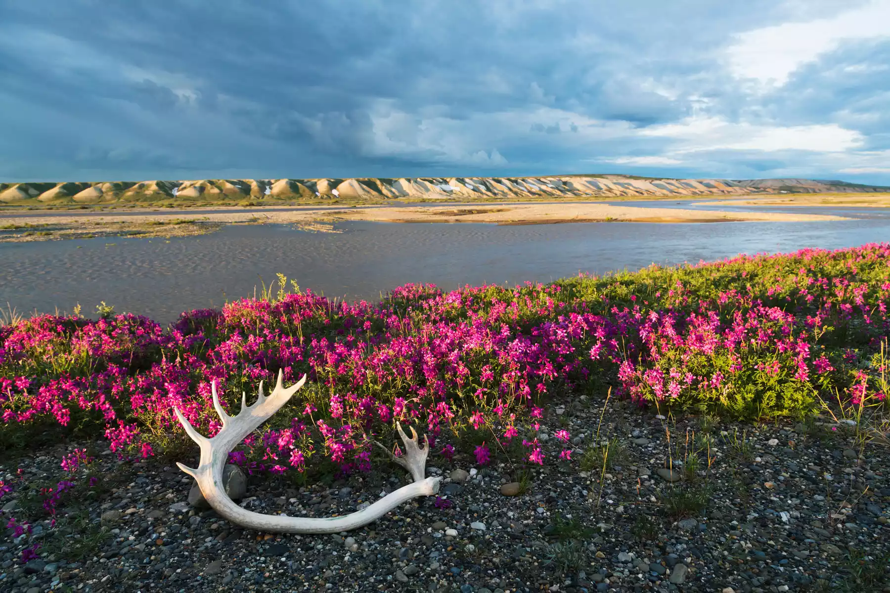 Far North | Arctic Circle | Nome Far North | Arctic Circle | Nome