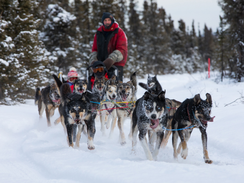 Alaska Aurora Train with Lodge At Black Rapids 4