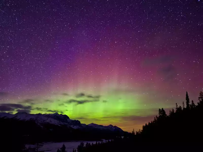 Alaska Aurora Winter Train with Chena Hot Springs 7