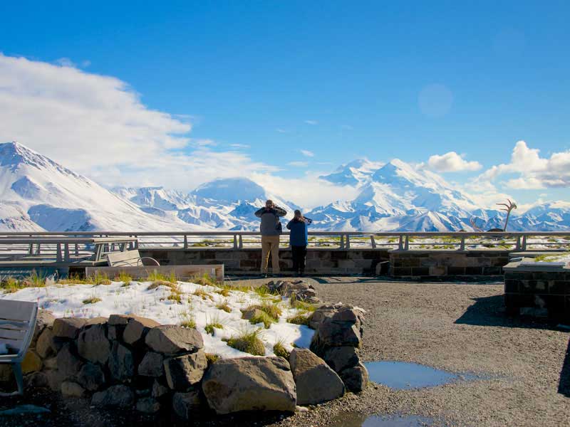 Alaska Denali Train with Icebergs Bears 3