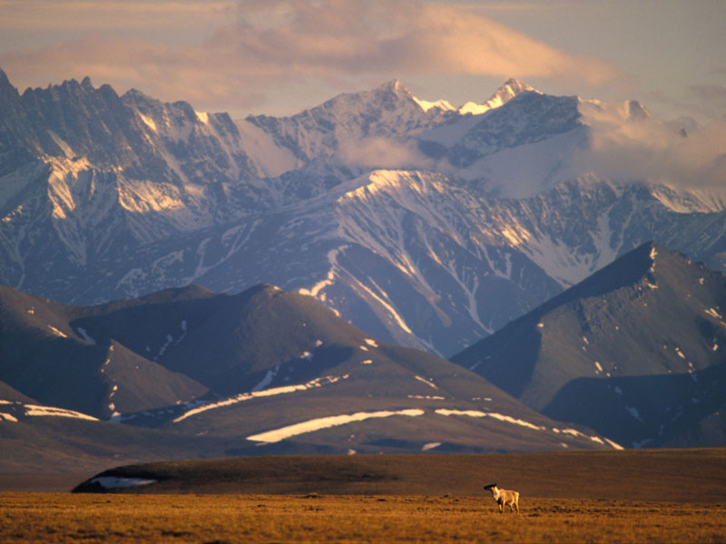 Alaska Land Tour with Denali Glaciers and the Arctic 1