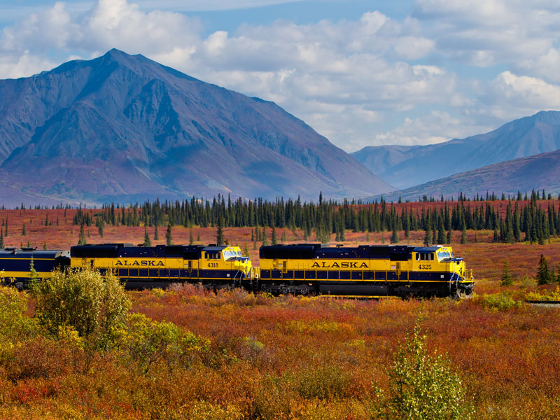 Alaska Land Tour with Denali Glaciers and the Arctic 3