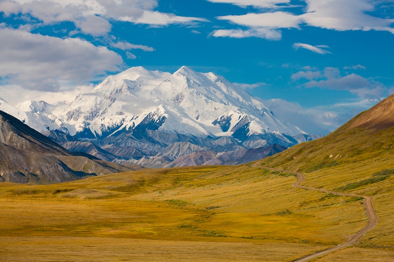 Alaska Land Tour with Denali Glaciers and the Arctic 6