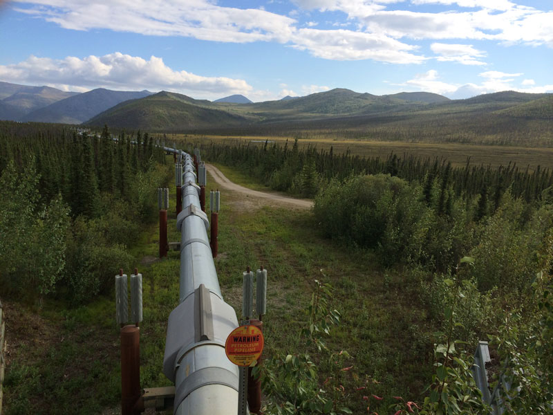 Alaska Land Tour with Denali Glaciers and the Arctic 8