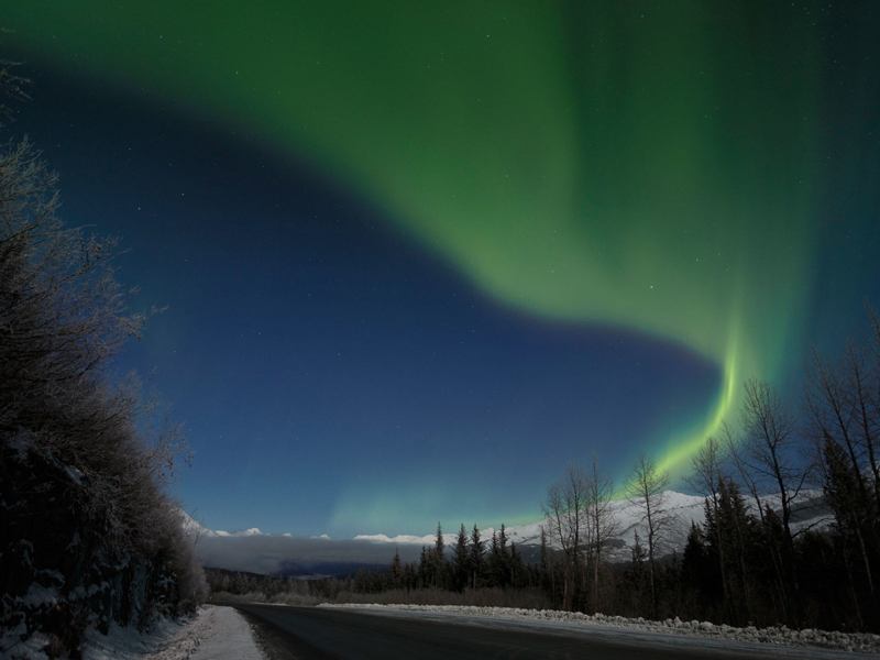 Alaska Northern Lights Tour Anchorage to the Arctic 2