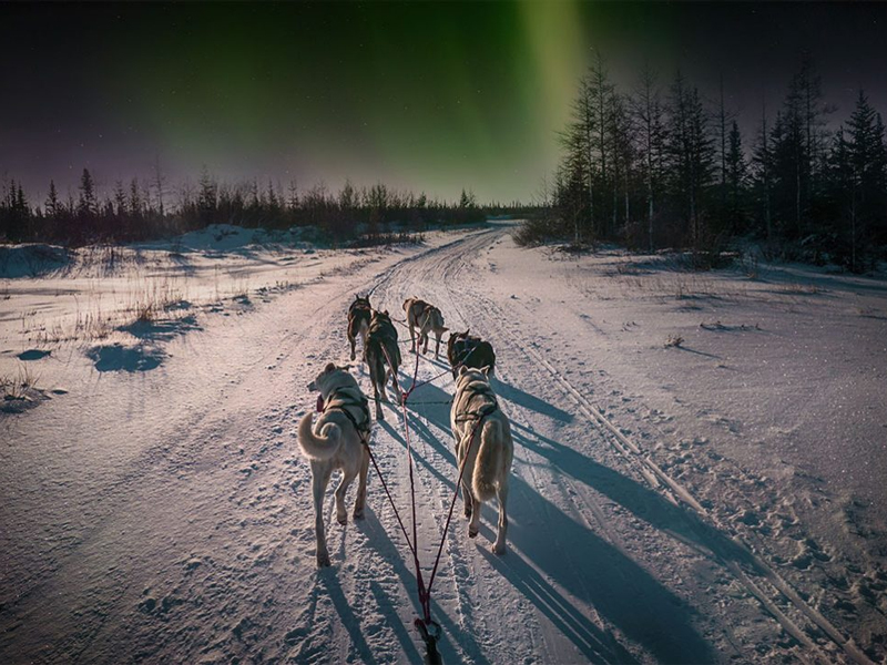 Alaska Northern Lights Train Aurora Ice Fishing Dog Mushing Sledding 4