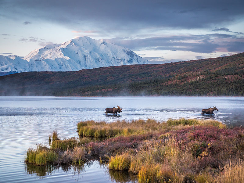 Alaska Rail Road Trip Circle Tour 3