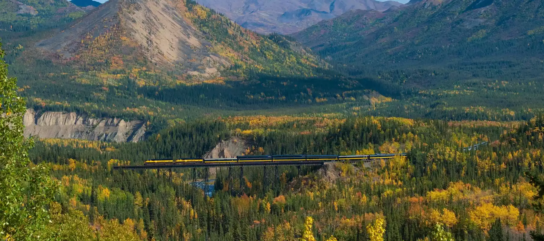 Every Train Tour in Alaska 