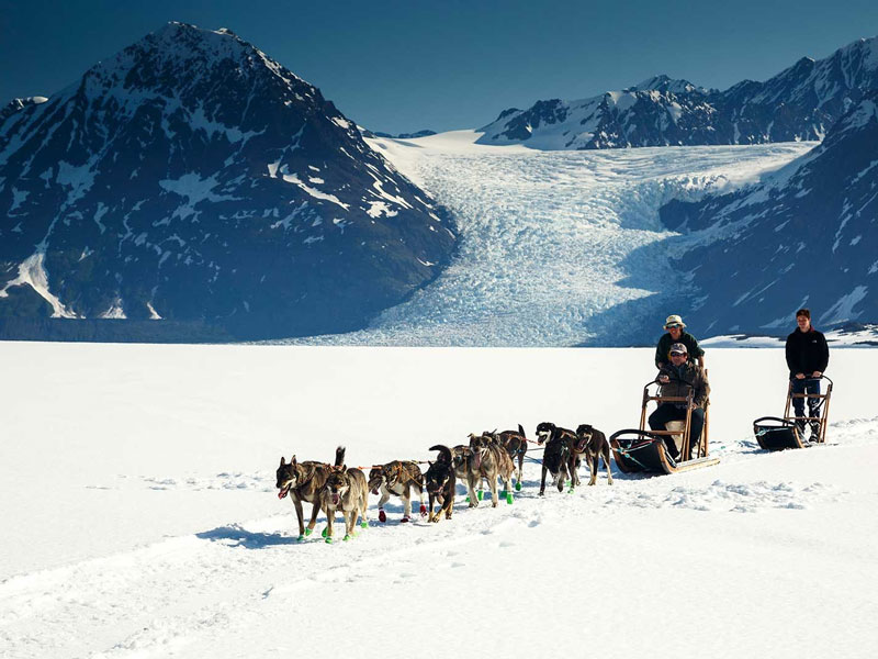 Alaska Road Trip Glaciers Fjords Denali 4