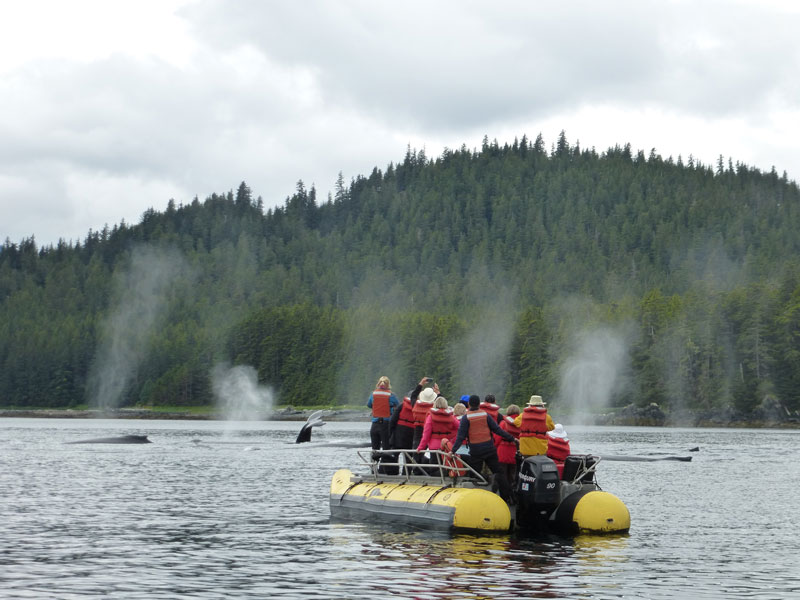 Alaska Small Ship Cruise Northern Passage Glacier Bay 4