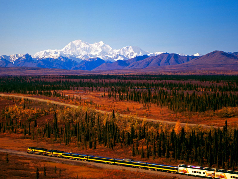 Alaska Stillpoint Lodge with Denali by Train 9