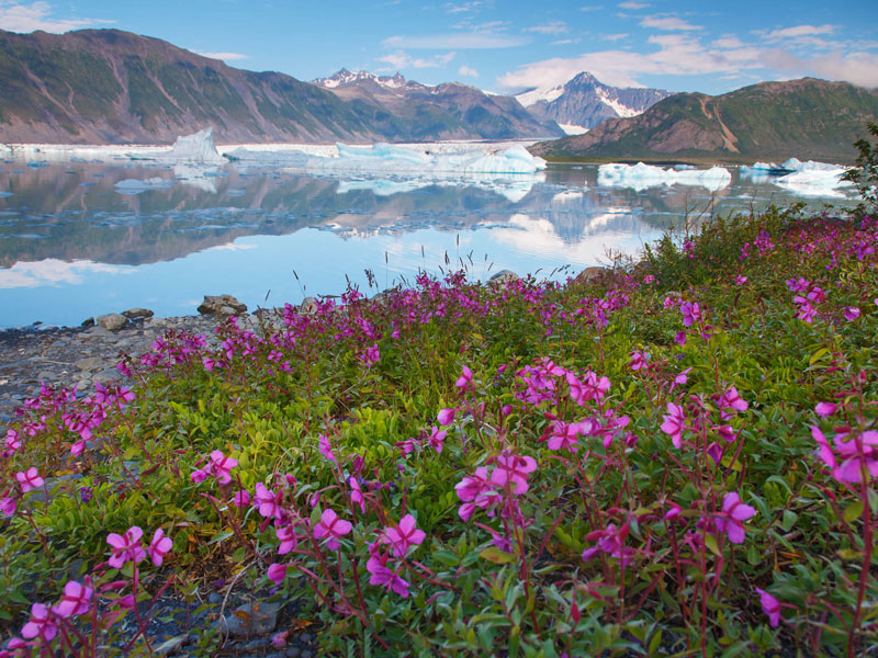 Alaska Train Vacation Best of Alaska by Train 1