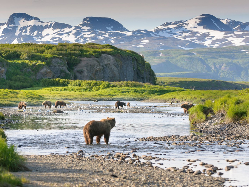 Alaska Train Vacation Best of Alaska by Train 3