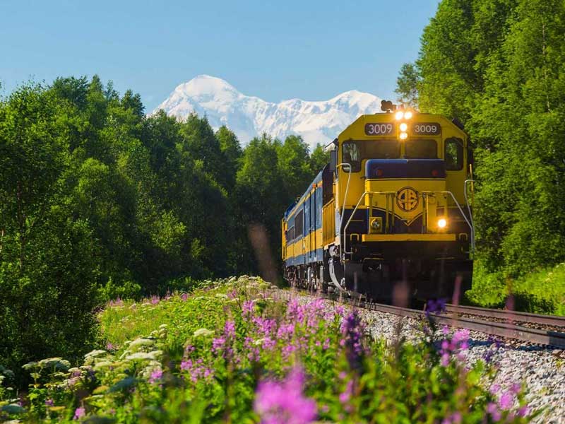 Alaska Train Vacation Best of Alaska by Train 9