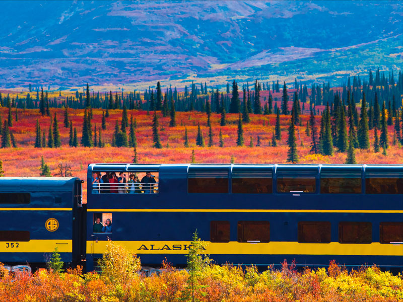 Alaska Train Vacation with the Arctic Cruise Connector 5