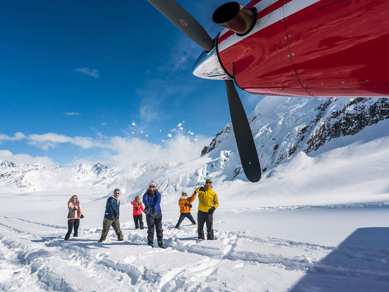 Alaska Train with Denali Icebergs & Bears