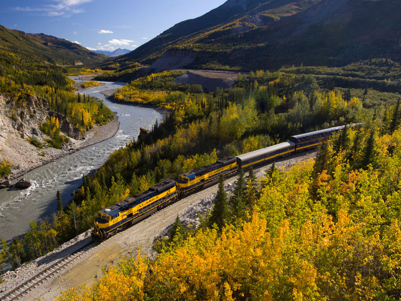 Alaska Train with Denali Icebergs Bears 2