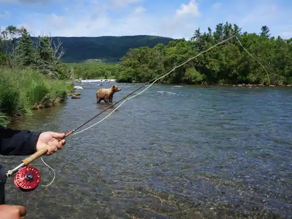 Gone Fishing! Discover Our Alaska Fishing Adventures