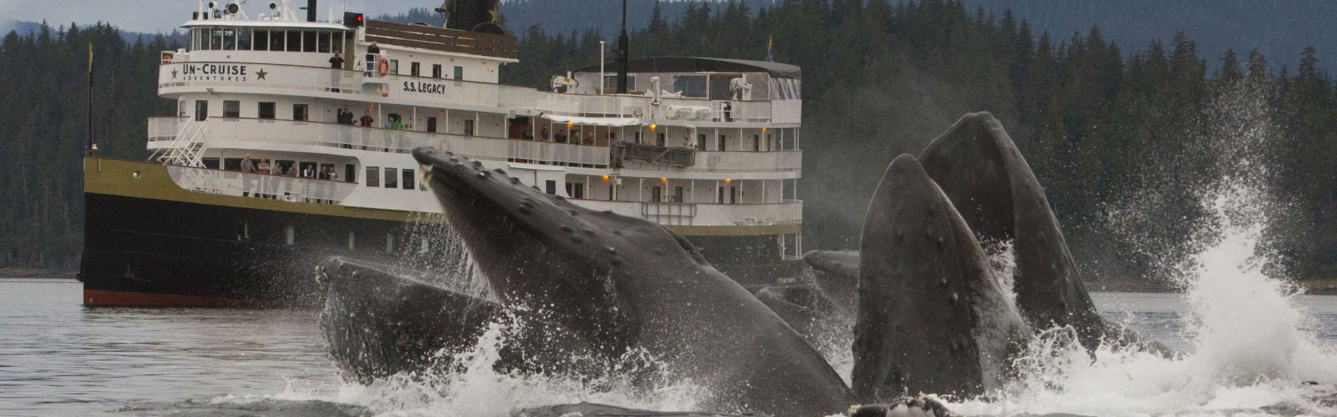 Small Ship Cruises Alaska | The Best Way to Cruise in Alaska