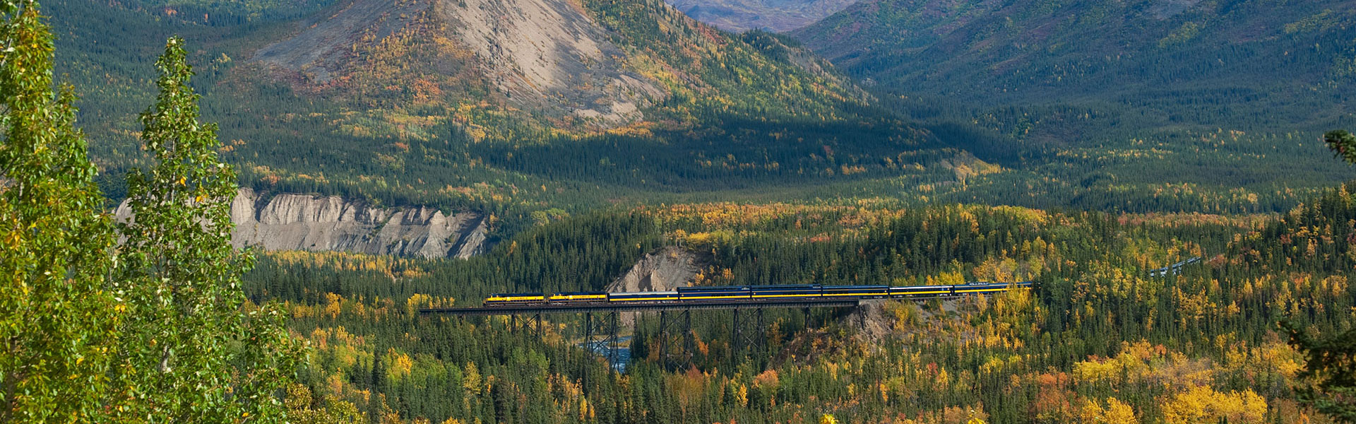 Alaska Train Tours | Best Alaska Train Trips