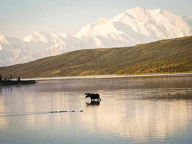 Alaskas Lodges Glaciers Denali 10