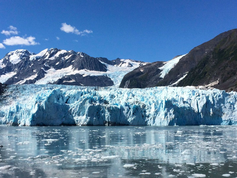 Alaskas Mountains Glaciers Wildlife First Time Favourites Drive Tour 6