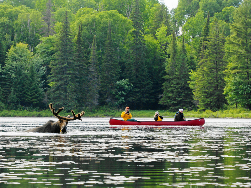 Algonquin Park Guided Canoe Log Cabin Trip 4